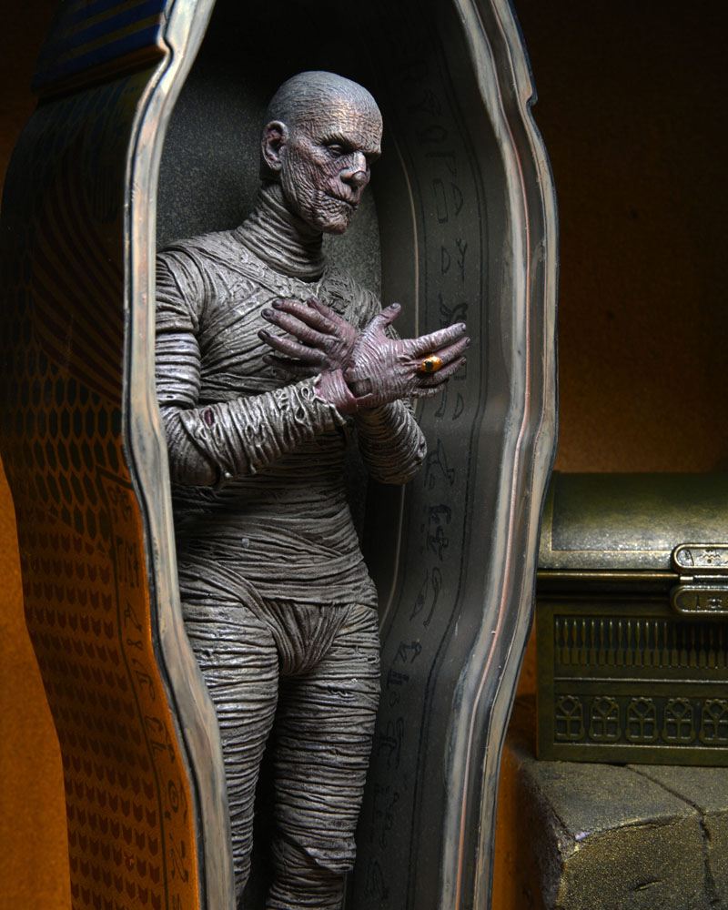 Universal Monsters: The Mummy (Accessory Pack) Actionfigur Zubehör NECA 2022