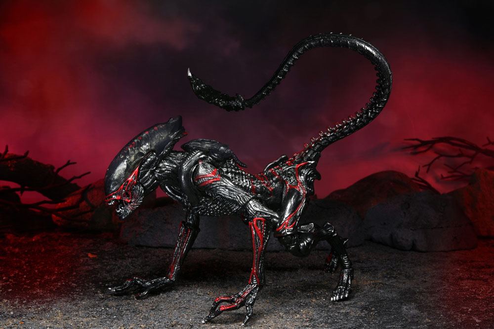 Aliens - Night Cougar Alien (Kenner Tribute) Actionfigur 23cm NECA 2022