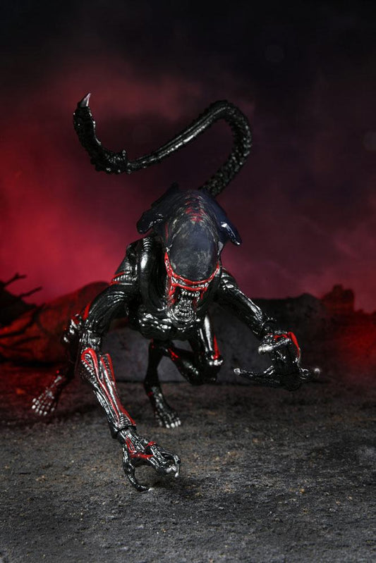 Aliens - Night Cougar Alien (Kenner Tribute) Actionfigur 23cm NECA 2022