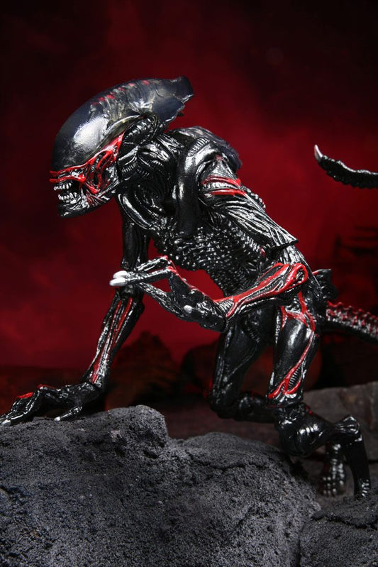 Aliens - Night Cougar Alien (Kenner Tribute) Actionfigur 23cm NECA 2022