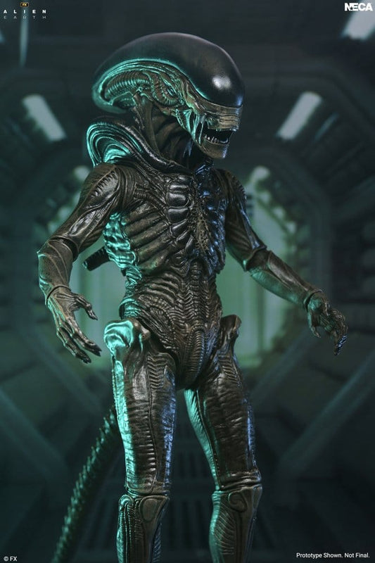Alien: Earth - Ultimate Xenomorph Actionfigur 18cm NECA 2026