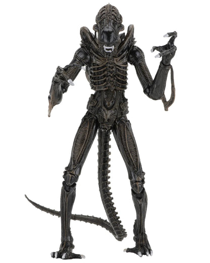 Aliens 2 - Ultimate Brown Warrior (1986 Movie) 23cm Actionfigur NECA 2026