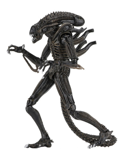 Aliens 2 - Ultimate Brown Warrior (1986 Movie) 23cm Actionfigur NECA 2026