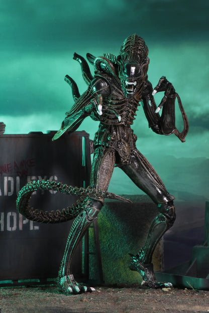 Aliens 2 - Ultimate Brown Warrior (1986 Movie) 23cm Actionfigur NECA 2026