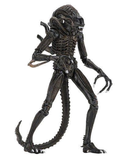 Aliens 2 - Ultimate Brown Warrior (1986 Movie) 23cm Actionfigur NECA 2026