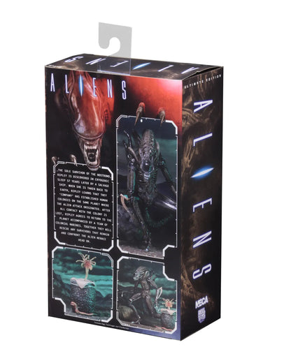 Aliens 2 - Ultimate Brown Warrior (1986 Movie) 23cm Actionfigur NECA 2026