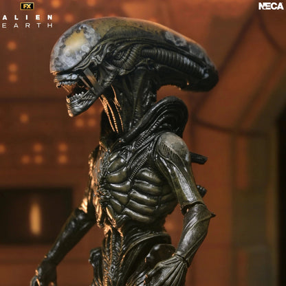 Alien: Earth - Ultimate Wendy's Xenomorph Actionfigur 18cm NECA 2026