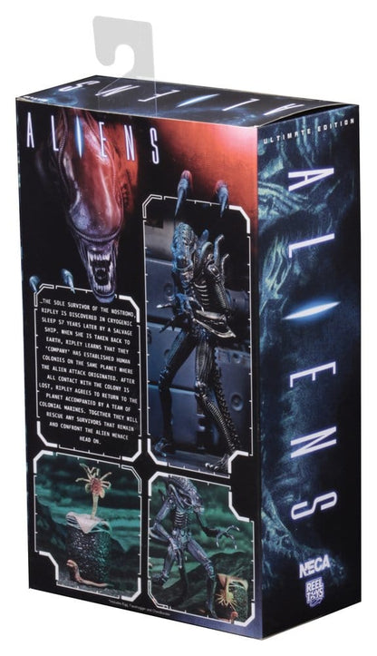 Aliens 2 - Ultimate Blue Warrior (1986 Movie) 23cm Actionfigur NECA 2026