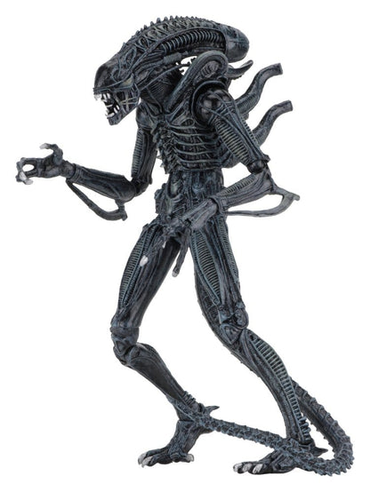 Aliens 2 - Ultimate Blue Warrior (1986 Movie) 23cm Actionfigur NECA 2026