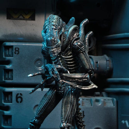 Aliens 2 - Ultimate Blue Warrior (1986 Movie) 23cm Actionfigur NECA 2026