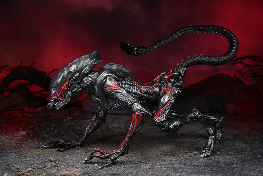 Aliens - Night Cougar Alien (Kenner Tribute) Actionfigur 23cm NECA 2022