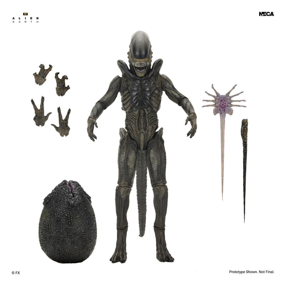 Alien: Earth - Ultimate Xenomorph Actionfigur 18cm NECA 2026