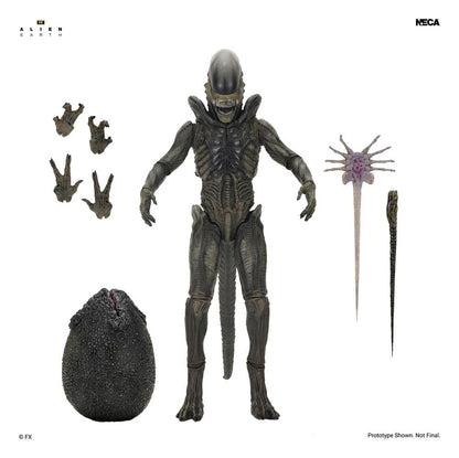 Alien: Earth - Ultimate Xenomorph Actionfigur 18cm NECA 2026