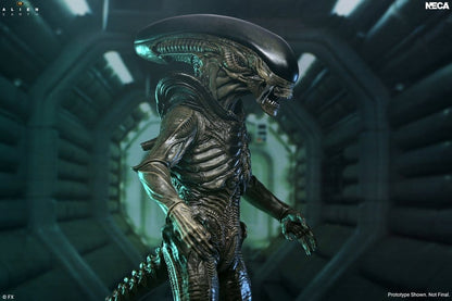 Alien: Earth - Ultimate Xenomorph Actionfigur 18cm NECA 2026