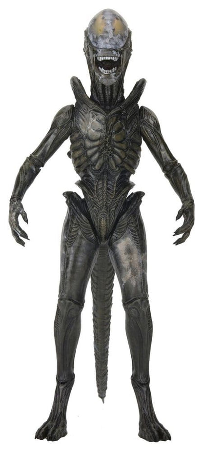 Alien: Earth - Ultimate Wendy's Xenomorph Actionfigur 18cm NECA 2026