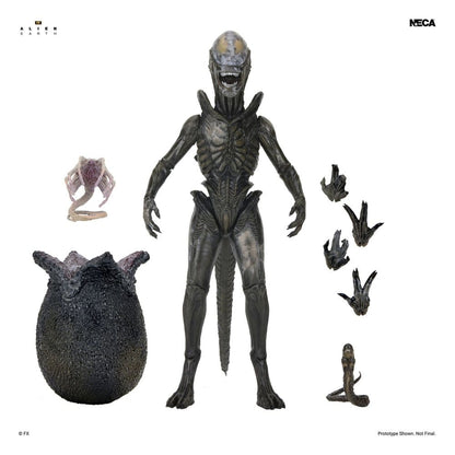 Alien: Earth - Ultimate Wendy's Xenomorph Actionfigur 18cm NECA 2026