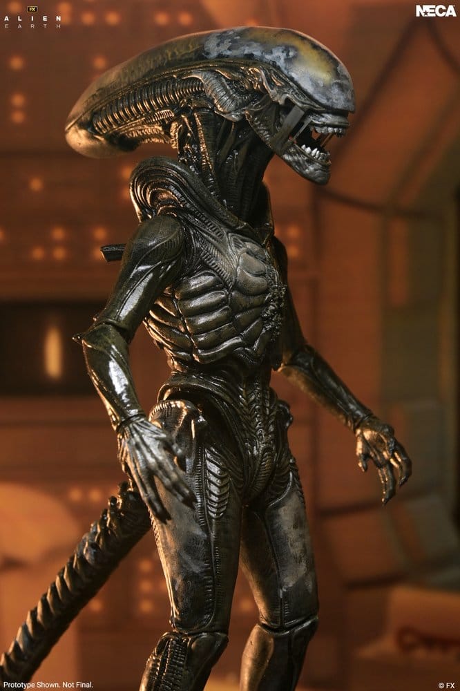 Alien: Earth - Ultimate Wendy's Xenomorph Actionfigur 18cm NECA 2026
