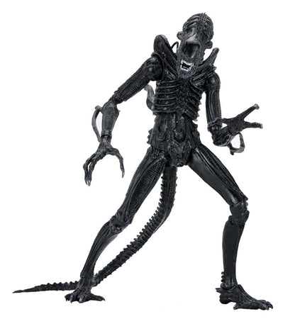 Aliens 2: (1986 Movie) - Ultimate Xenomorph Warrior (40th Anniversary) 23cm Actionfigur NECA 2026