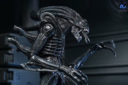 Aliens 2: (1986 Movie) - Ultimate Xenomorph Warrior (40th Anniversary) 23cm Actionfigur NECA 2026