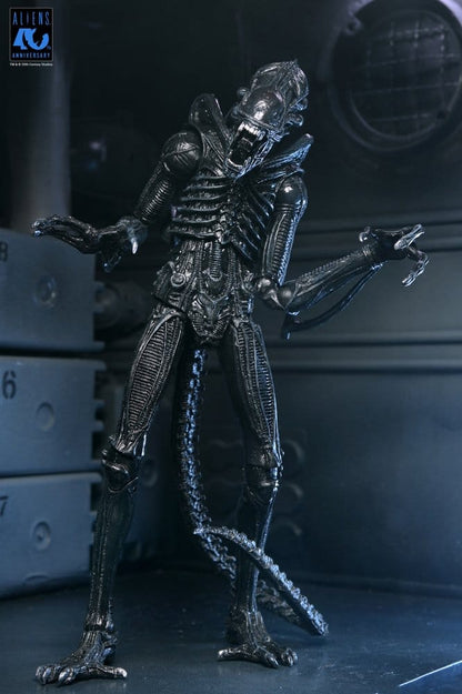 Aliens 2: (1986 Movie) - Ultimate Xenomorph Warrior (40th Anniversary) 23cm Actionfigur NECA 2026