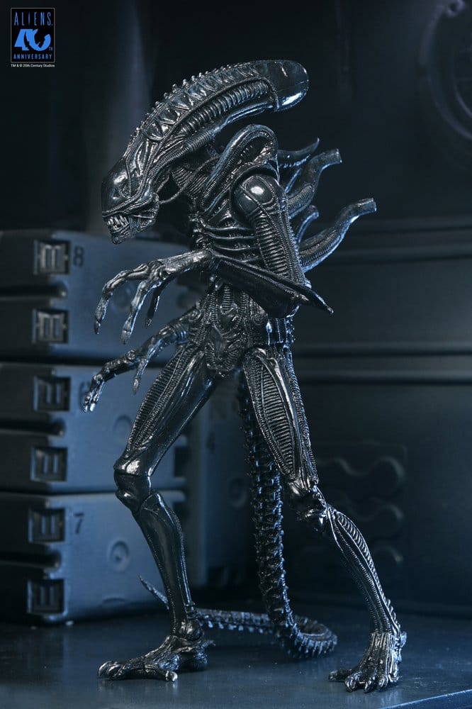 Aliens 2: (1986 Movie) - Ultimate Xenomorph Warrior (40th Anniversary) 23cm Actionfigur NECA 2026