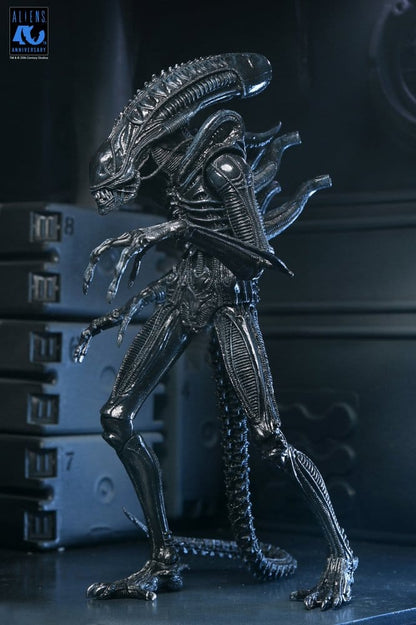 Aliens 2: (1986 Movie) - Ultimate Xenomorph Warrior (40th Anniversary) 23cm Actionfigur NECA 2026