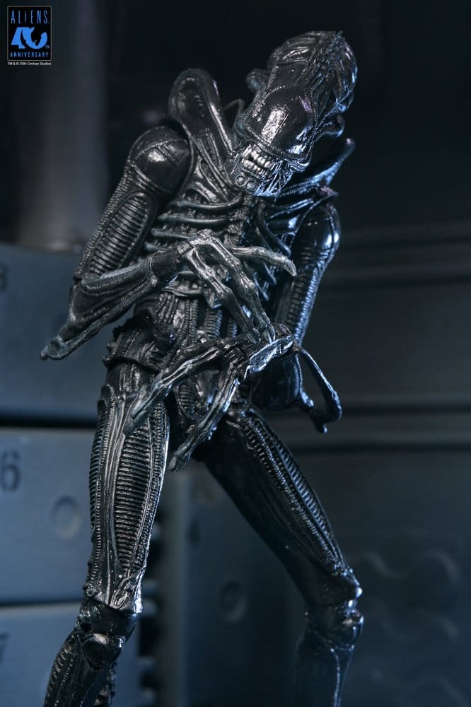 Aliens 2: (1986 Movie) - Ultimate Xenomorph Warrior (40th Anniversary) 23cm Actionfigur NECA 2026