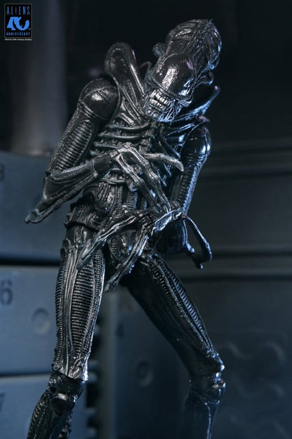 Aliens 2: (1986 Movie) - Ultimate Xenomorph Warrior (40th Anniversary) 23cm Actionfigur NECA 2026
