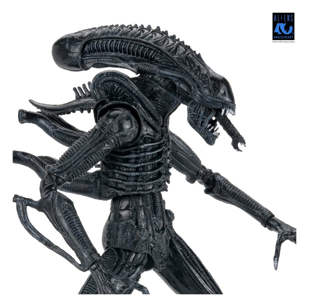 Aliens 2: (1986 Movie) - Ultimate Xenomorph Warrior (40th Anniversary) 23cm Actionfigur NECA 2026
