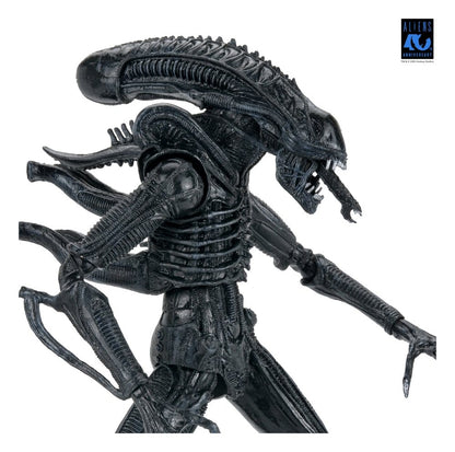 Aliens 2: (1986 Movie) - Ultimate Xenomorph Warrior (40th Anniversary) 23cm Actionfigur NECA 2026