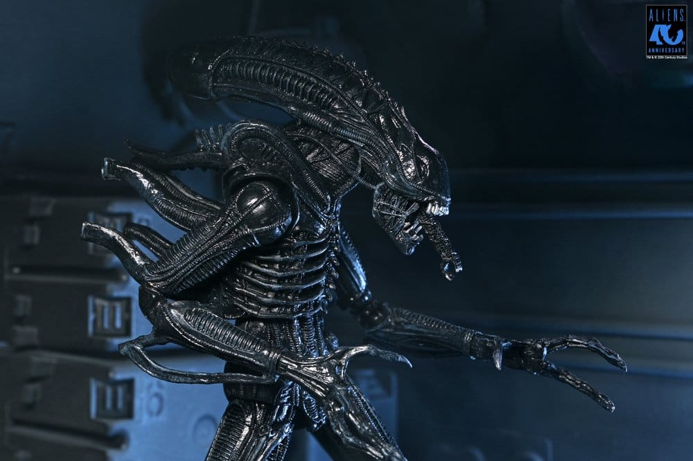 Aliens 2: (1986 Movie) - Ultimate Xenomorph Warrior (40th Anniversary) 23cm Actionfigur NECA 2026