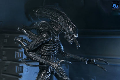 Aliens 2: (1986 Movie) - Ultimate Xenomorph Warrior (40th Anniversary) 23cm Actionfigur NECA 2026
