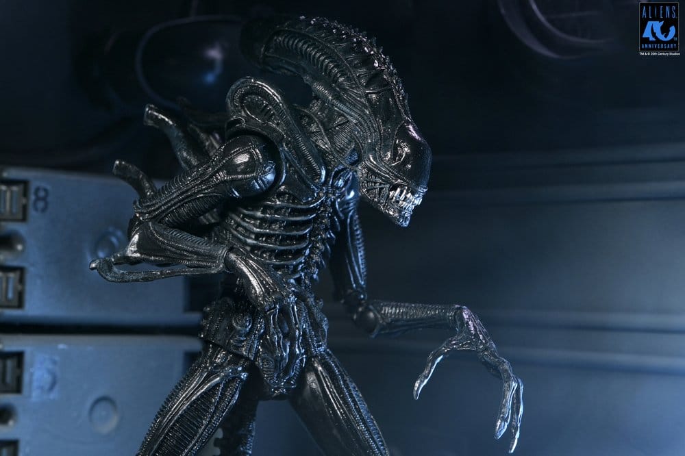 Aliens 2: (1986 Movie) - Ultimate Xenomorph Warrior (40th Anniversary) 23cm Actionfigur NECA 2026
