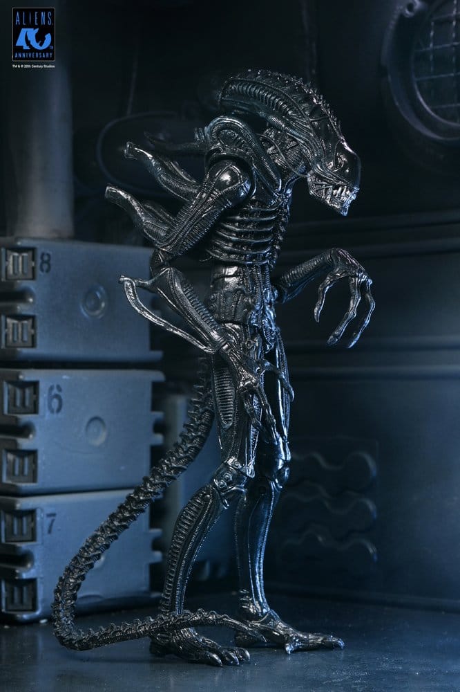 Aliens 2: (1986 Movie) - Ultimate Xenomorph Warrior (40th Anniversary) 23cm Actionfigur NECA 2026