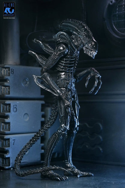 Aliens 2: (1986 Movie) - Ultimate Xenomorph Warrior (40th Anniversary) 23cm Actionfigur NECA 2026