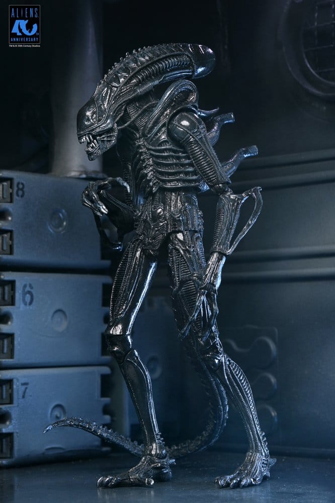 Aliens 2: (1986 Movie) - Ultimate Xenomorph Warrior (40th Anniversary) 23cm Actionfigur NECA 2026
