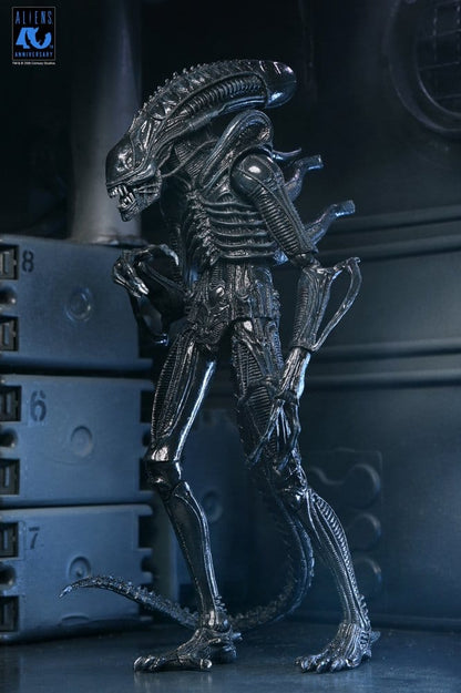 Aliens 2: (1986 Movie) - Ultimate Xenomorph Warrior (40th Anniversary) 23cm Actionfigur NECA 2026