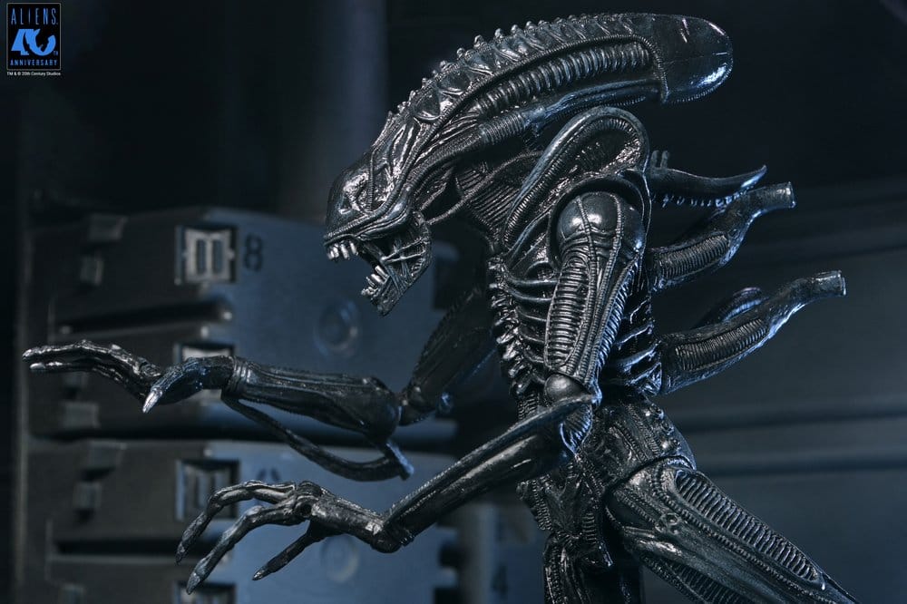 Aliens 2: (1986 Movie) - Ultimate Xenomorph Warrior (40th Anniversary) 23cm Actionfigur NECA 2026
