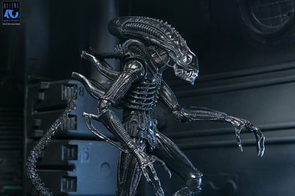 Aliens 2: (1986 Movie) - Ultimate Xenomorph Warrior (40th Anniversary) 23cm Actionfigur NECA 2026