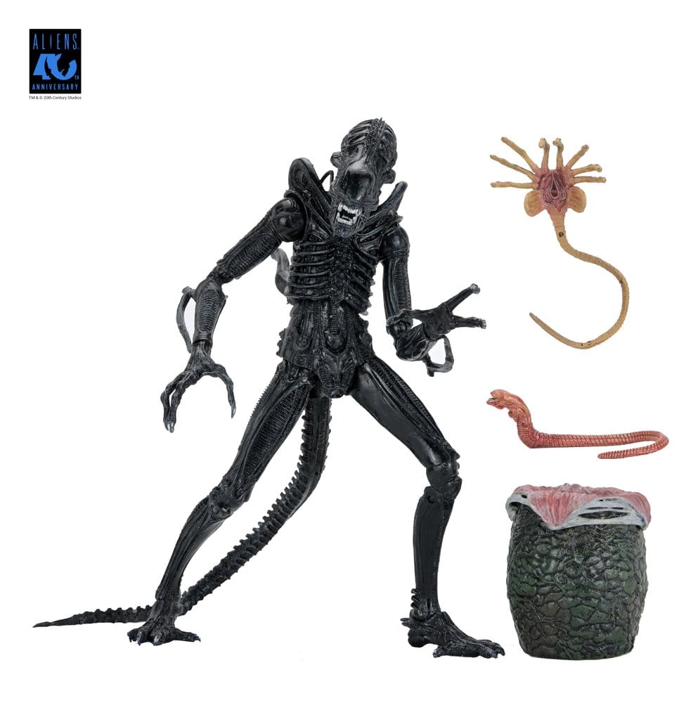 Aliens 2: (1986 Movie) - Ultimate Xenomorph Warrior (40th Anniversary) 23cm Actionfigur NECA 2026