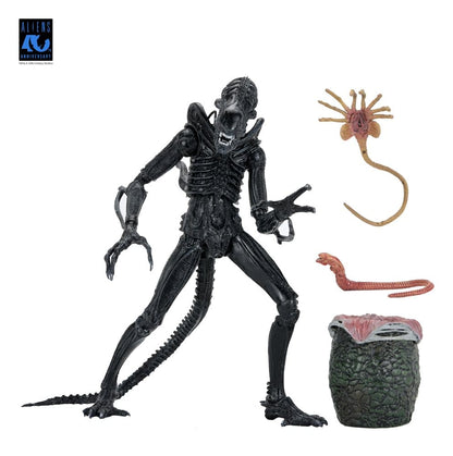 Aliens 2: (1986 Movie) - Ultimate Xenomorph Warrior (40th Anniversary) 23cm Actionfigur NECA 2026