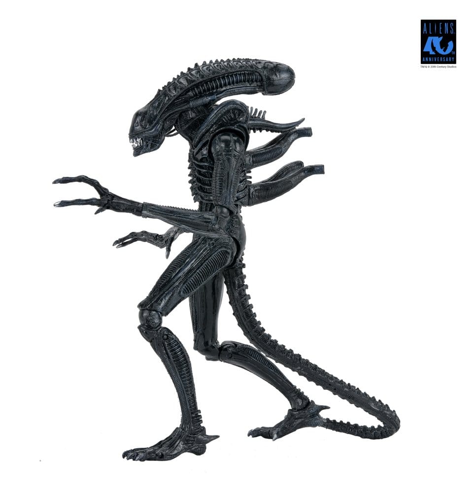 Aliens 2: (1986 Movie) - Ultimate Xenomorph Warrior (40th Anniversary) 23cm Actionfigur NECA 2026